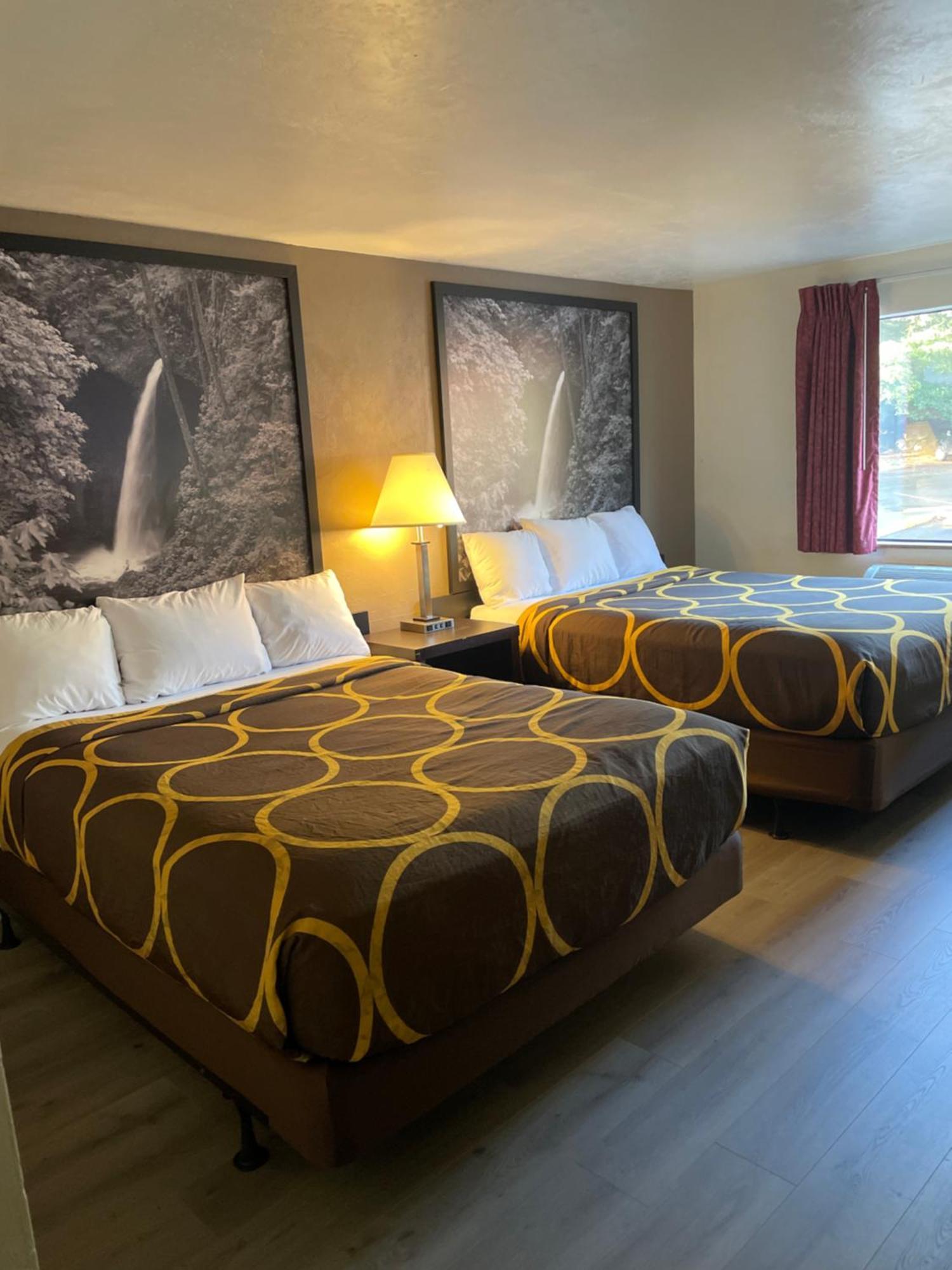Super 8 By Wyndham Lacey Olympia Area Extérieur photo