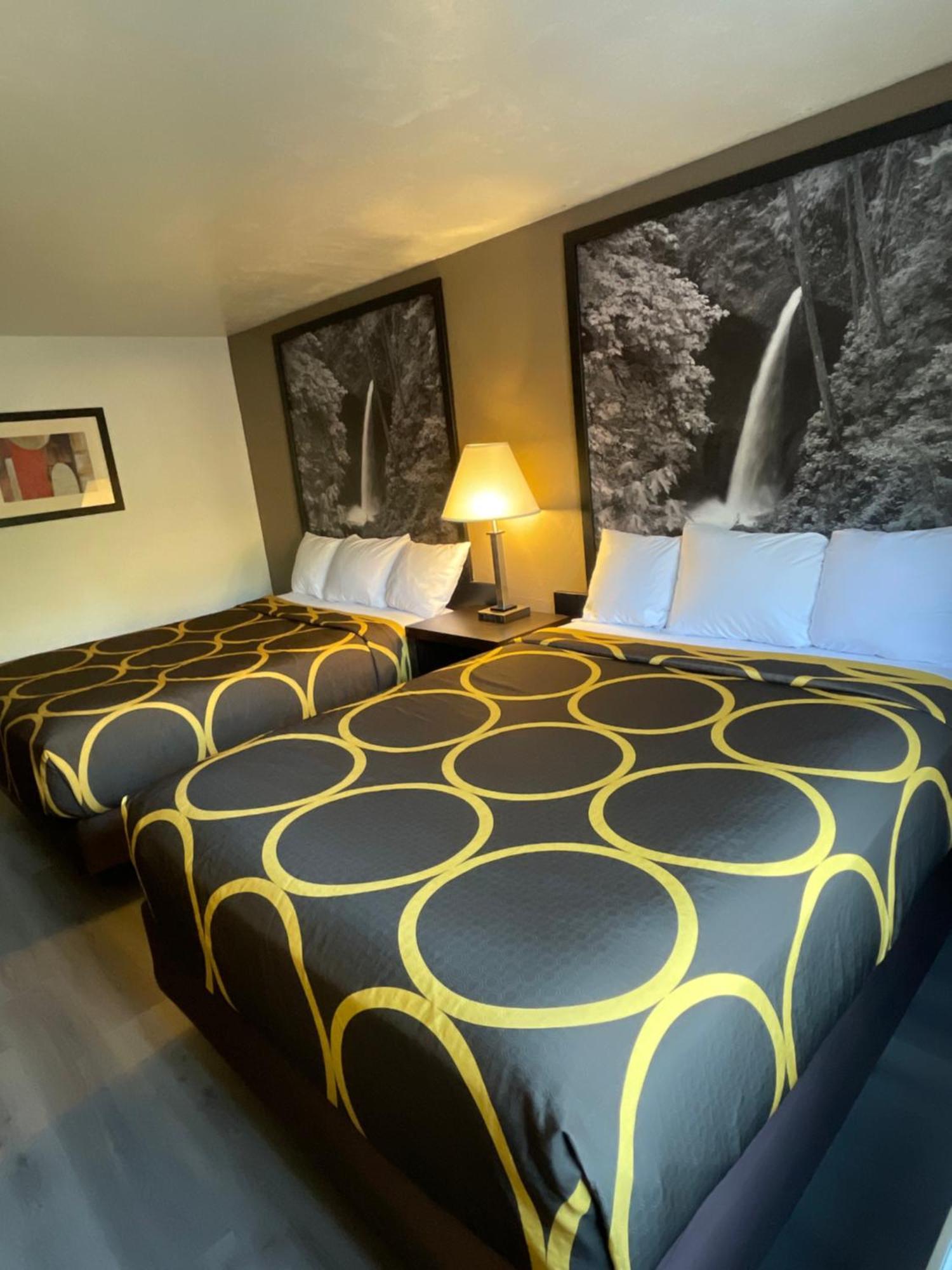 Super 8 By Wyndham Lacey Olympia Area Extérieur photo